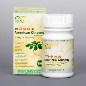 Americk enen - American Ginseng